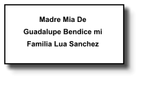 Madre Mia De Guadalupe Bendice mi Familia Lua Sanchez   146