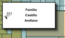 Familia Castillo Arellano   104