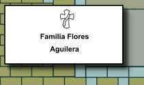 Familia Flores Aguilera   329