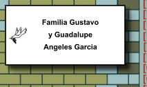 Familia Gustavo y Guadalupe Angeles Garcia   209