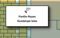 Panfilo Reyes Guadalupe Islas   165