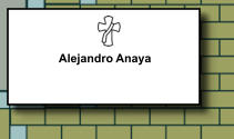 Alejandro Anaya    267
