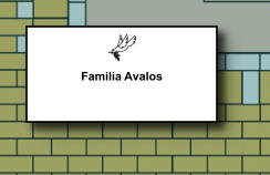 Familia Avalos   227