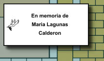 En memoria de Maria Lagunas Calderon   147