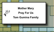 Mother Mary Pray For Us Tom Gumina Family   140