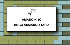 AMADO HIJO HUGO ARMANDO TAPIA   310