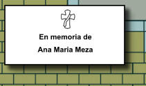 En memoria de Ana Maria Meza   163