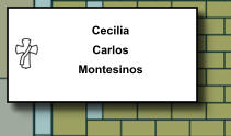Cecilia Carlos Montesinos   340