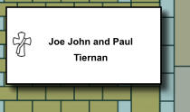 Joe John and Paul Tiernan    395